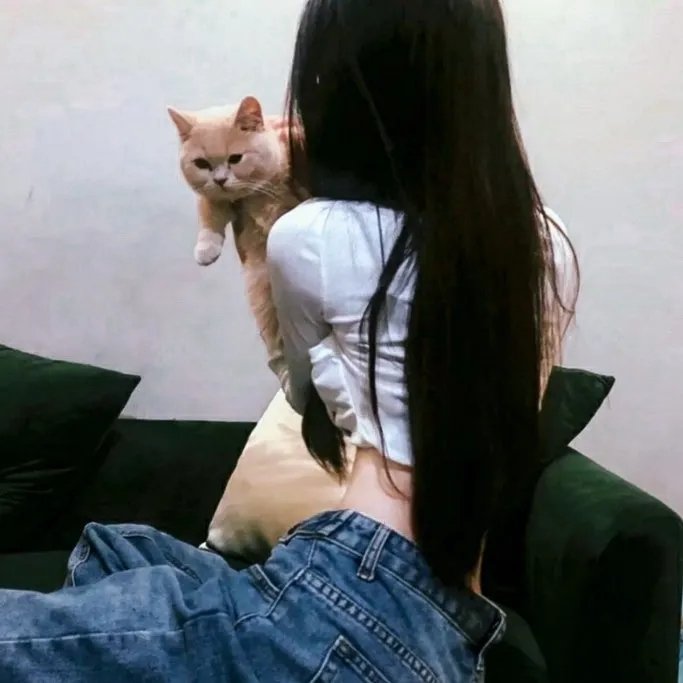 世界的角落是晚餐